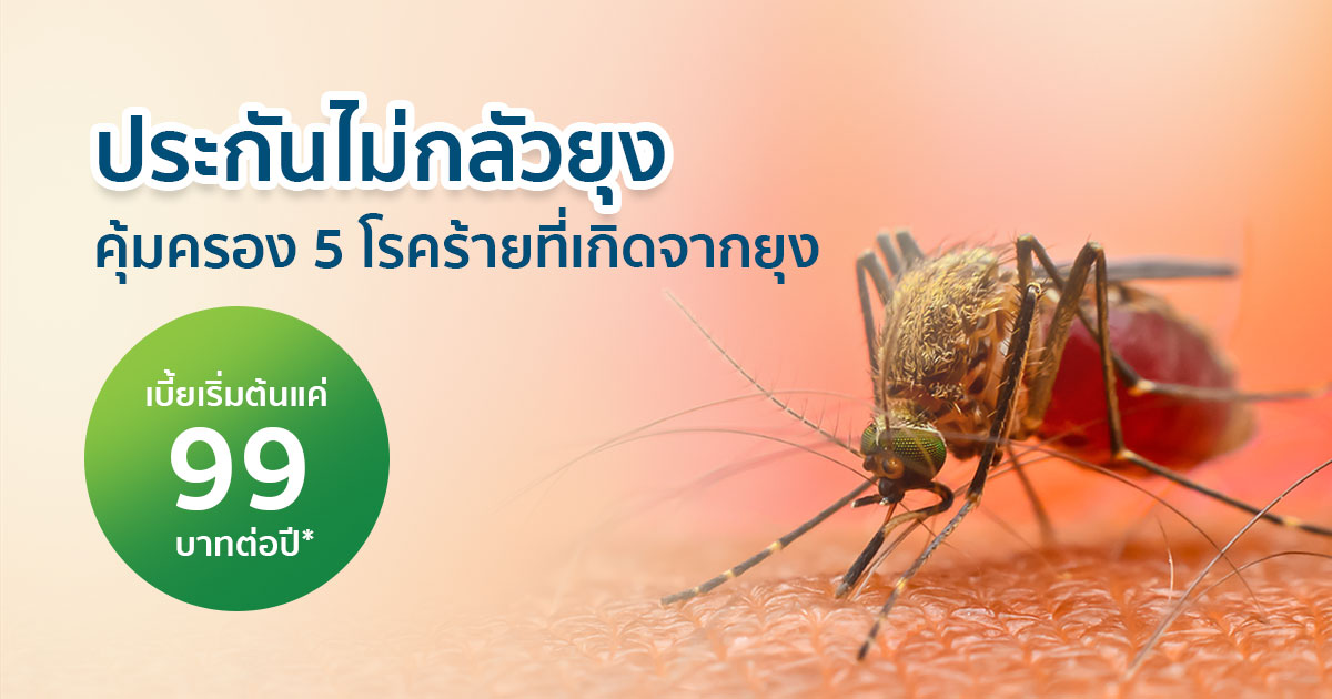 ประกันไม่กลัวยุง ราคาเริ่มต้น 99 บาทต่อปี*